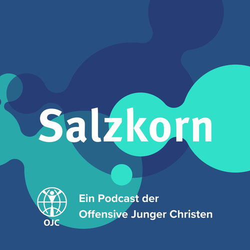 Salzkorn – Anstiftungen zum gemeinsamen Christenleben Cover