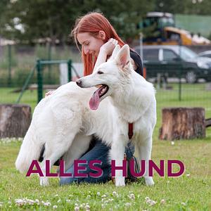 Alles Hund