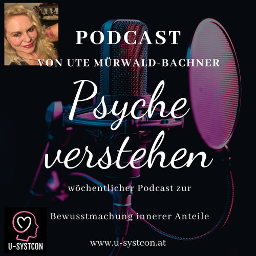 Psyche verstehen Cover