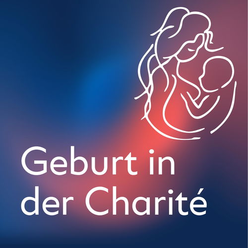 Geburt in der Charité Cover