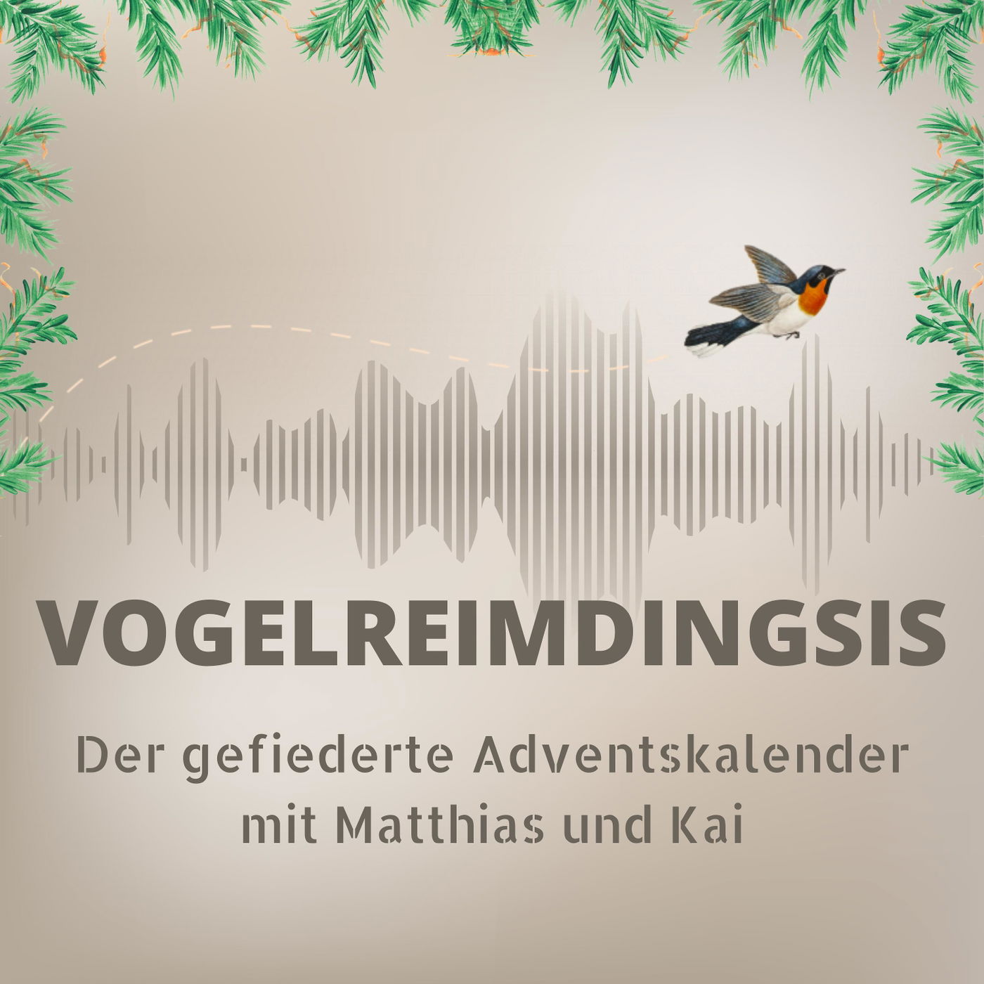 Vogelreimdingsis